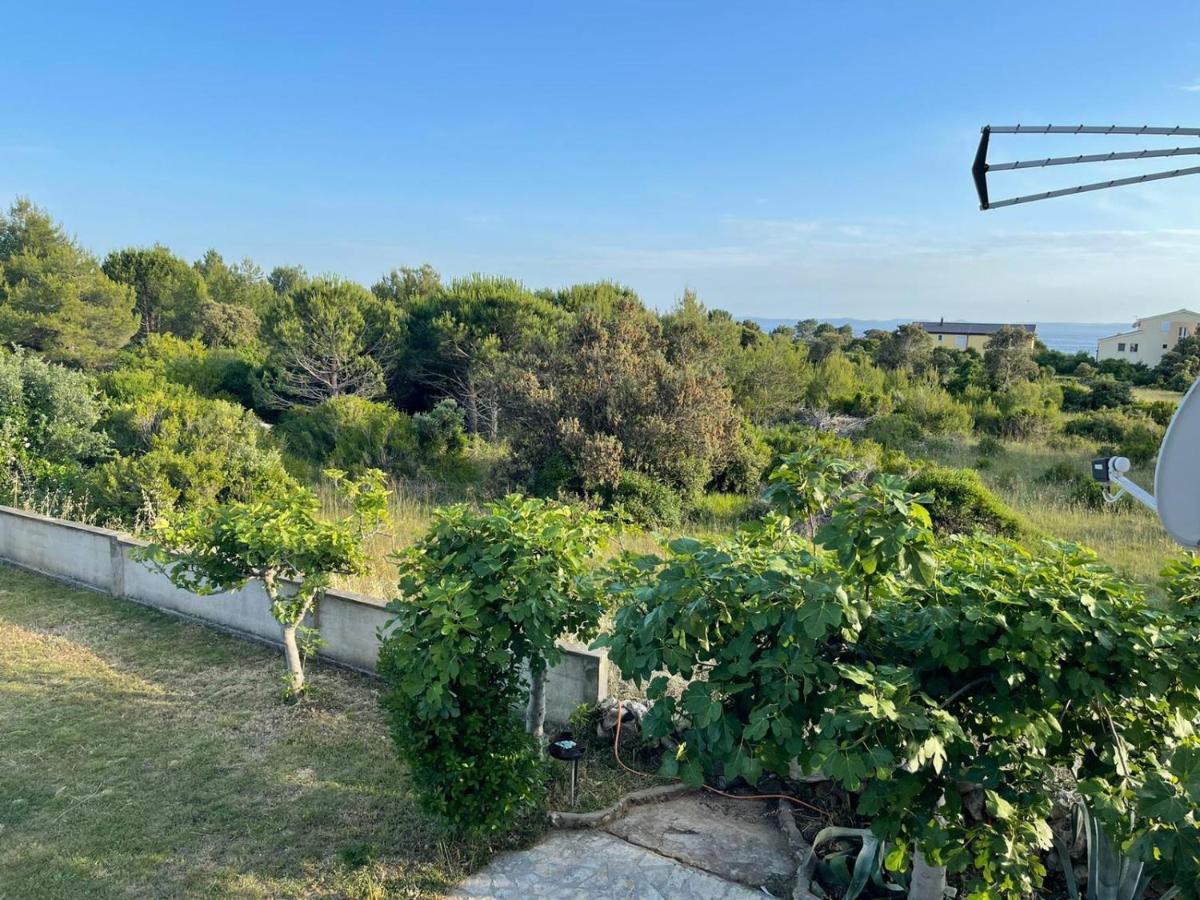 Bagic Apartment